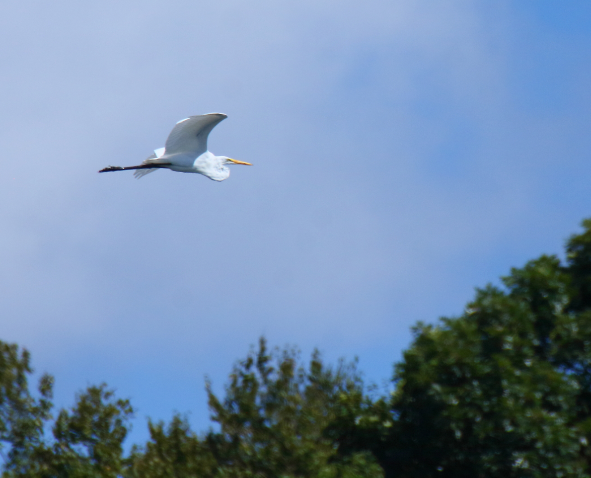 2014 09 07 HTP 85549